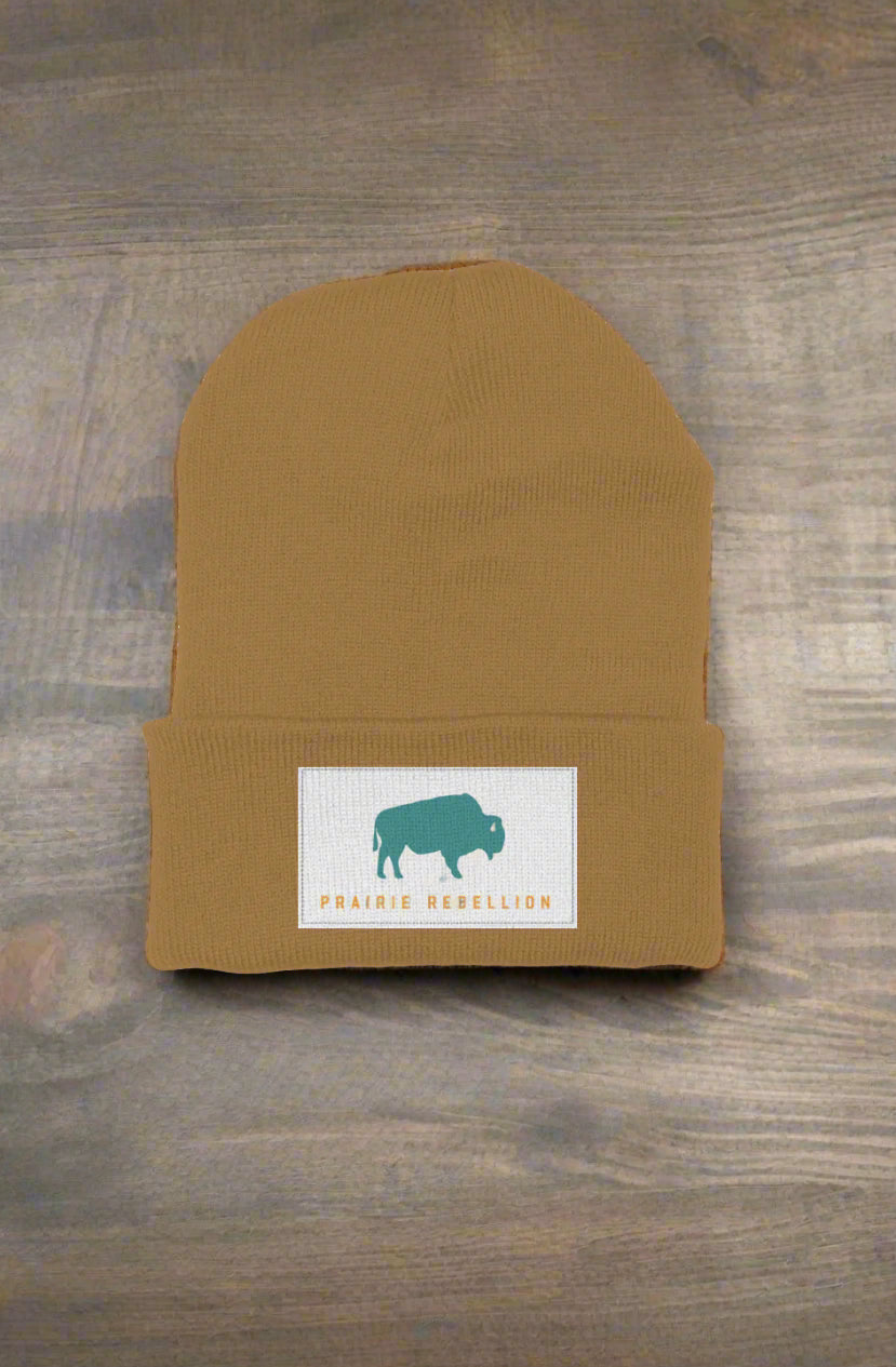 Teal Buffalo Patch Beanie